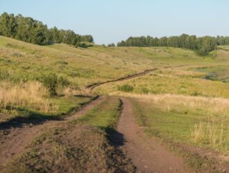 Droga wiejska. Droga przez pole. Zakurzona droga. Wycieczka piesza. Spacer w pobliżu lasu. Wiejska droga